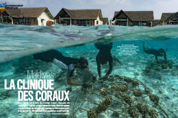 Maldives, la clinique des coraux